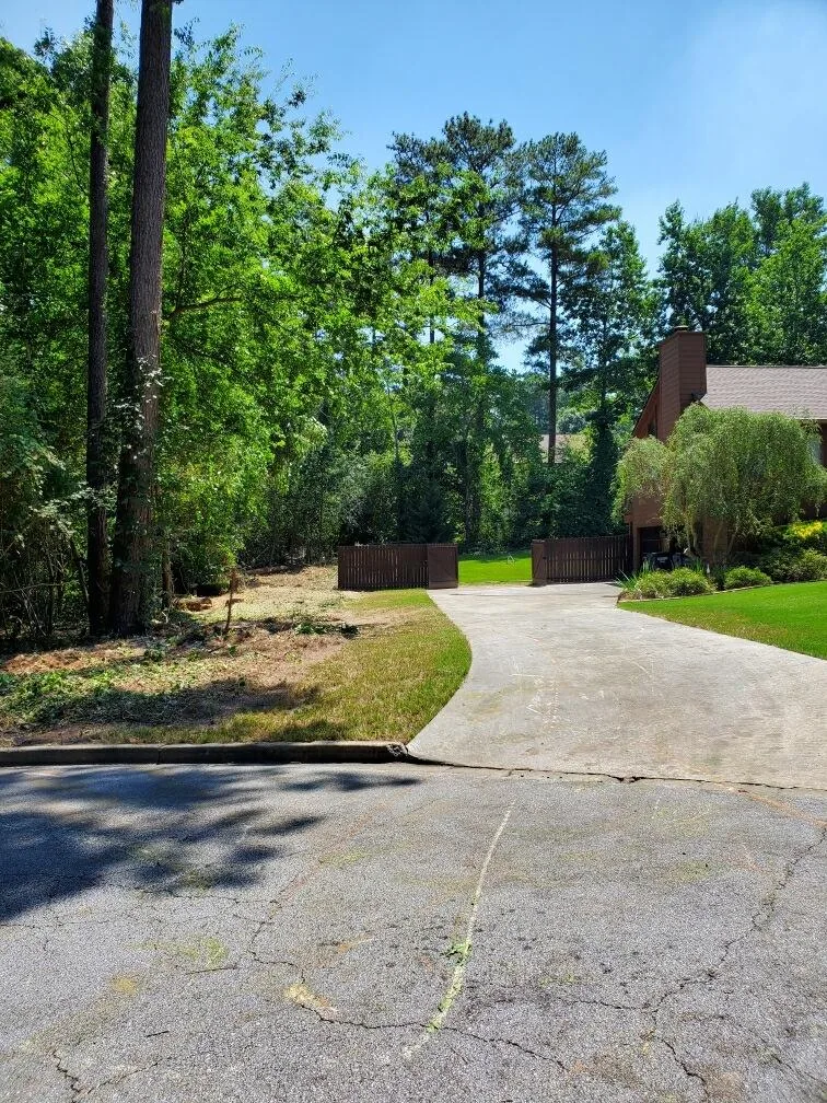 The same driveway edge cleared back to open ground, the mature trees left standing