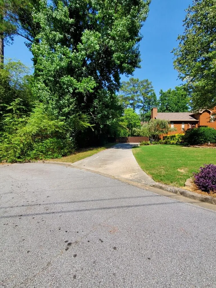 The edge of a driveway swallowed by green scrub and undergrowth, grown out to the kerb
