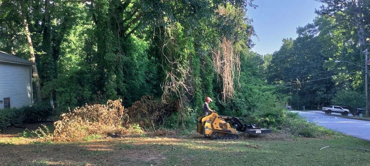 An operator on a tracked machine with a cutting head on the front, taking out the scrub along the treeline
