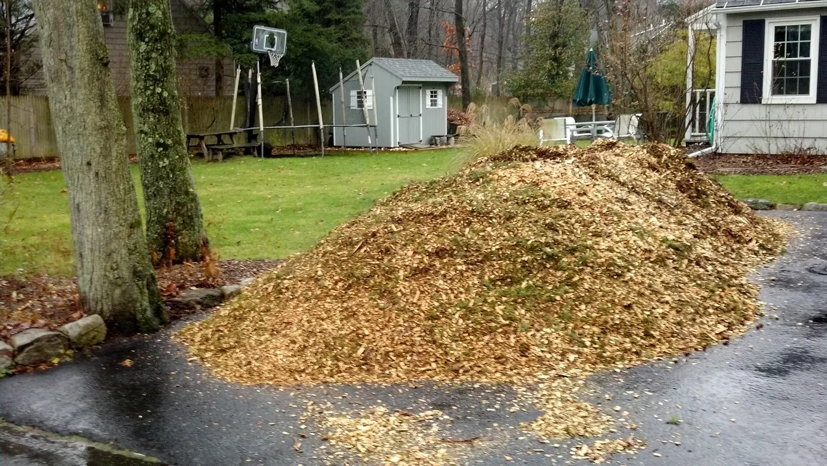 A load of fresh wood chip dropped at the end of a driveway, heaped higher than the fence behind it