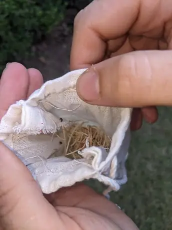 A hand holding an open release bag