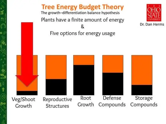 A chart titled Tree Energy Budget Theory