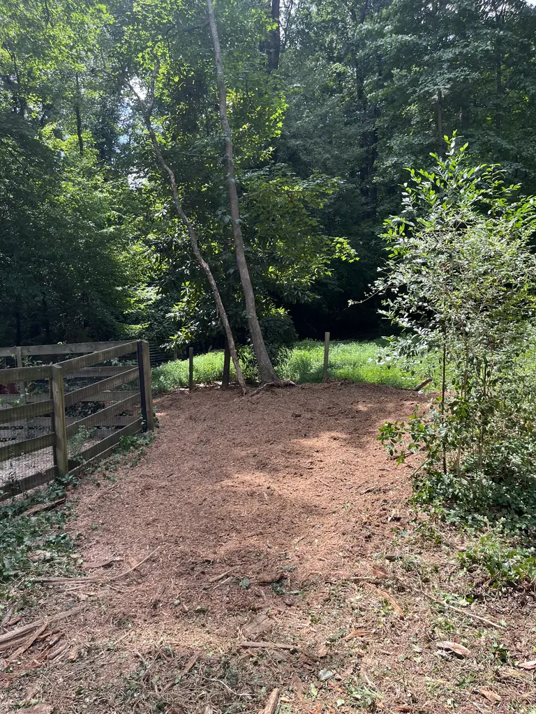 Ground where a stump stood, backfilled level with its own grindings